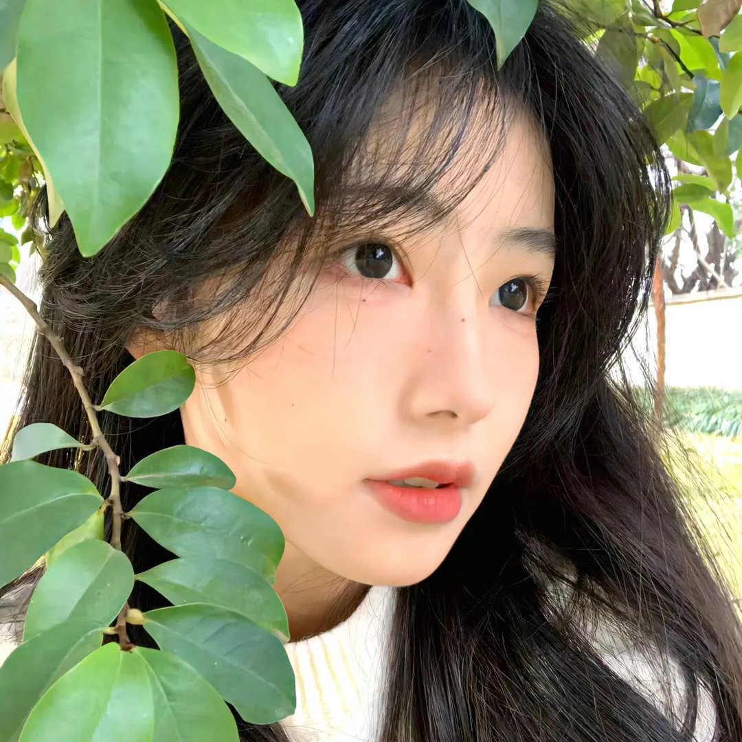 那年夏天有风吹过